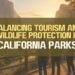 Balancing Tourism And Wildlife Protection In California Parks