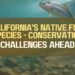 California’s Native Fish Species - Conservation Challenges Ahead