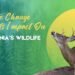 Climate Change And Its Impact On California’s Wildlife