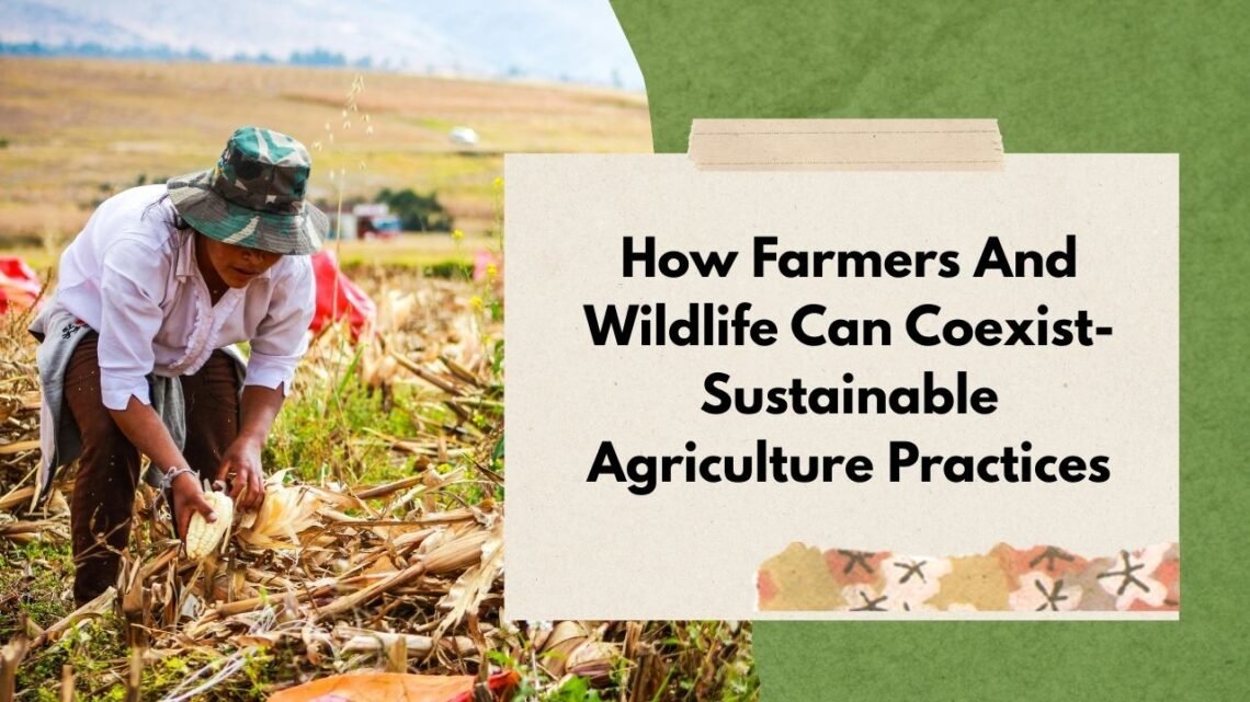 How Farmers and Wildlife Can Coexist: Sustainable Agriculture Practices