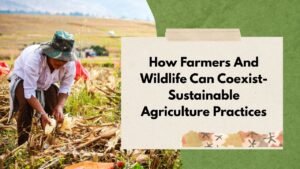 How Farmers and Wildlife Can Coexist: Sustainable Agriculture Practices