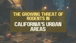 The Growing Threat Of Rodents In California’s Urban Areas