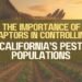 The Importance Of Raptors In Controlling California’s Pest Populations