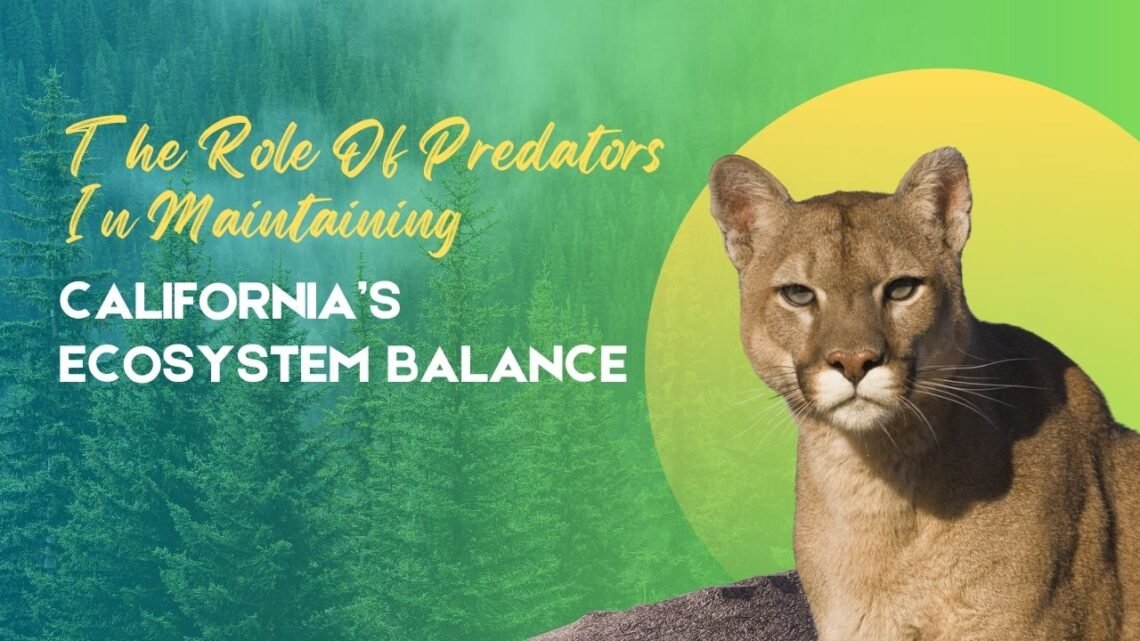 The Role Of Predators In Maintaining California’s Ecosystem Balance