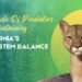 The Role Of Predators In Maintaining California’s Ecosystem Balance
